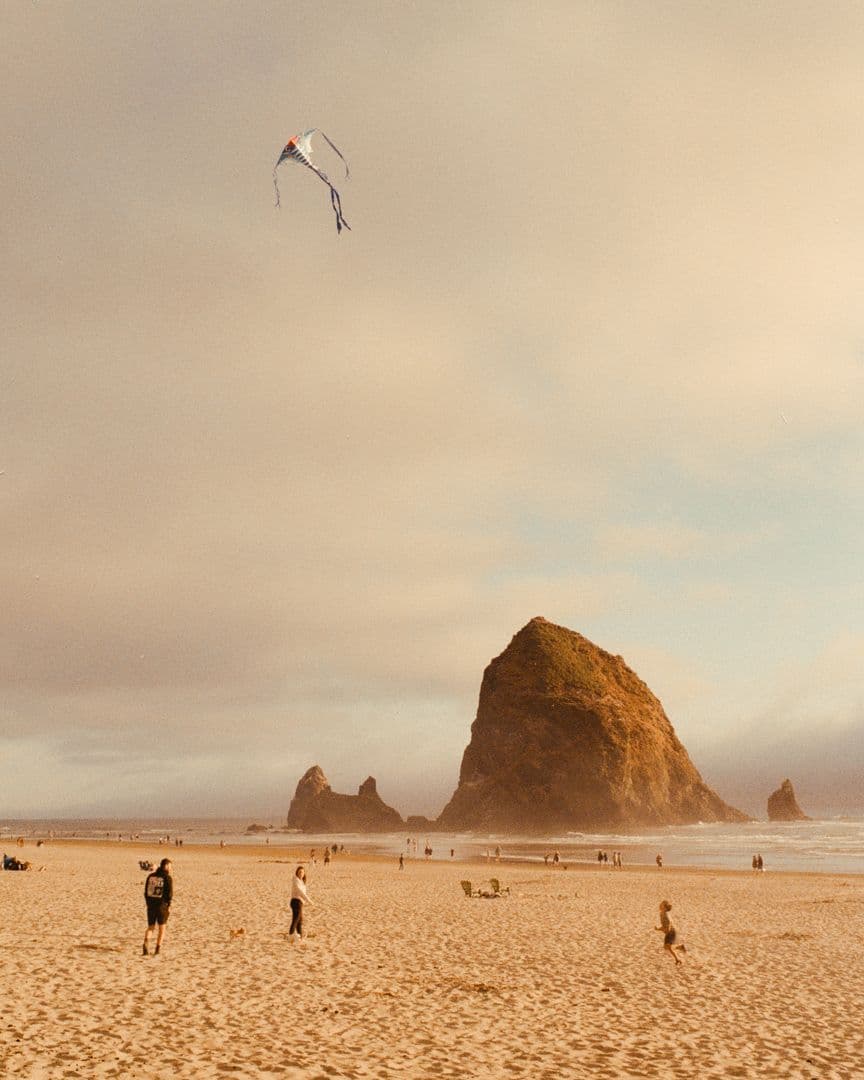 Picture of the author