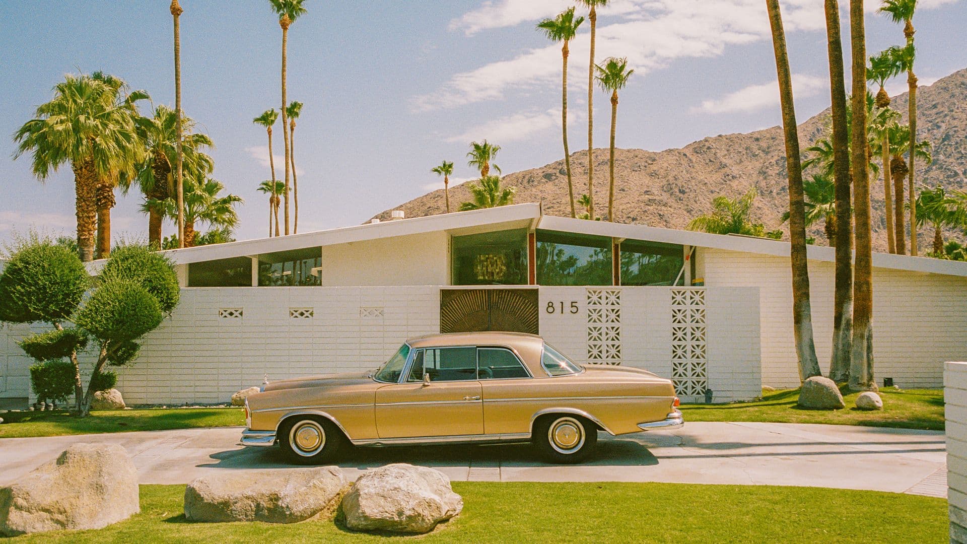 Picture of the author