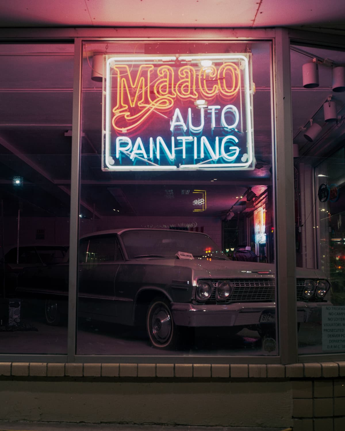 Picture of the author