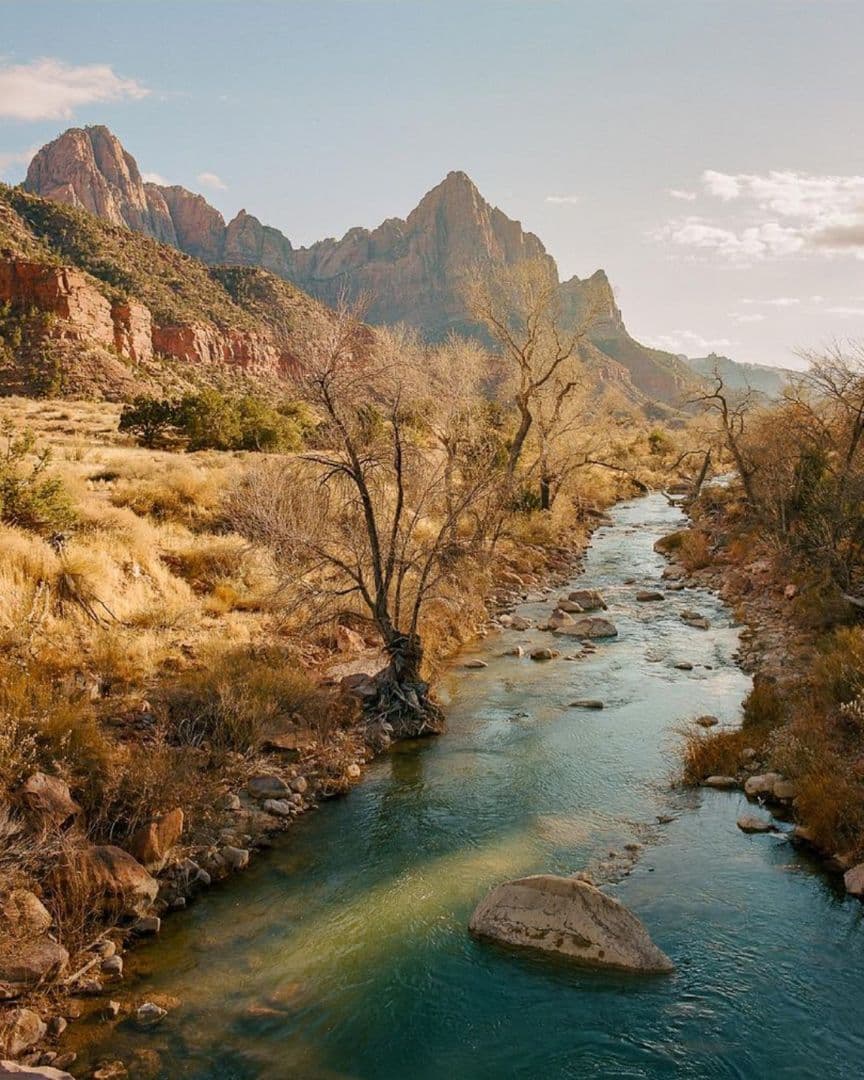 Picture of the author