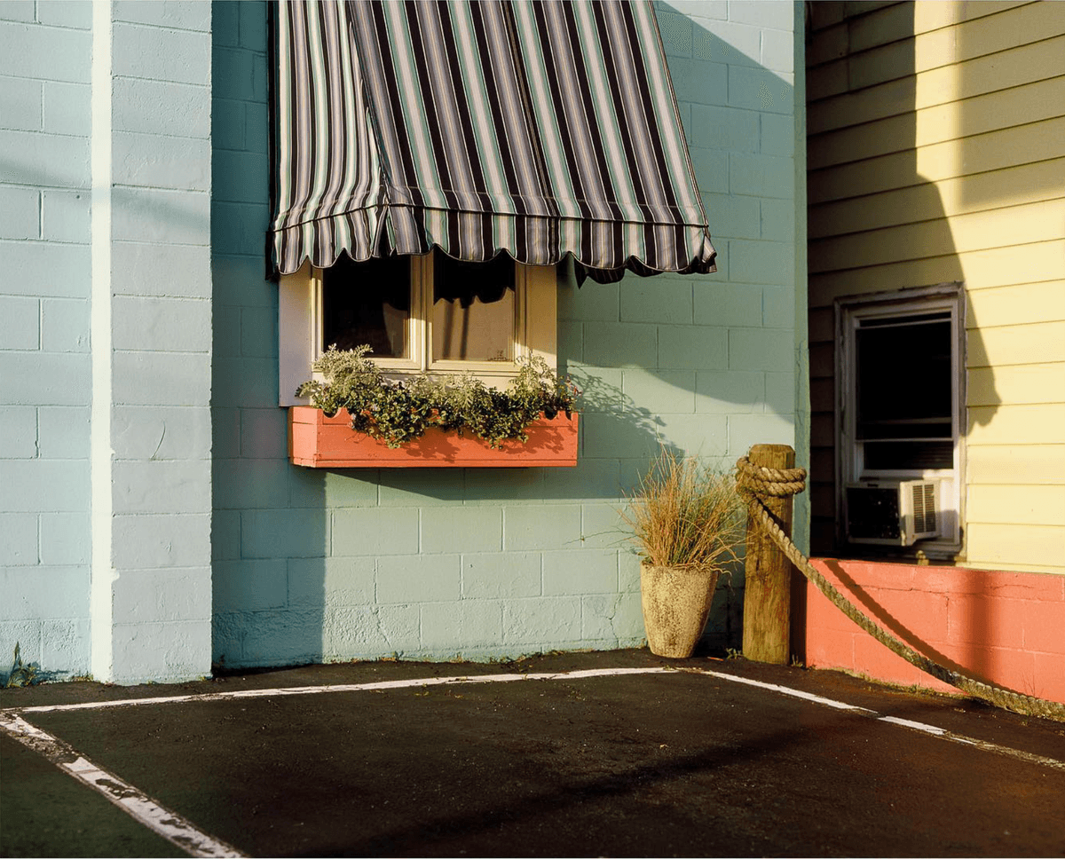 Picture of the author