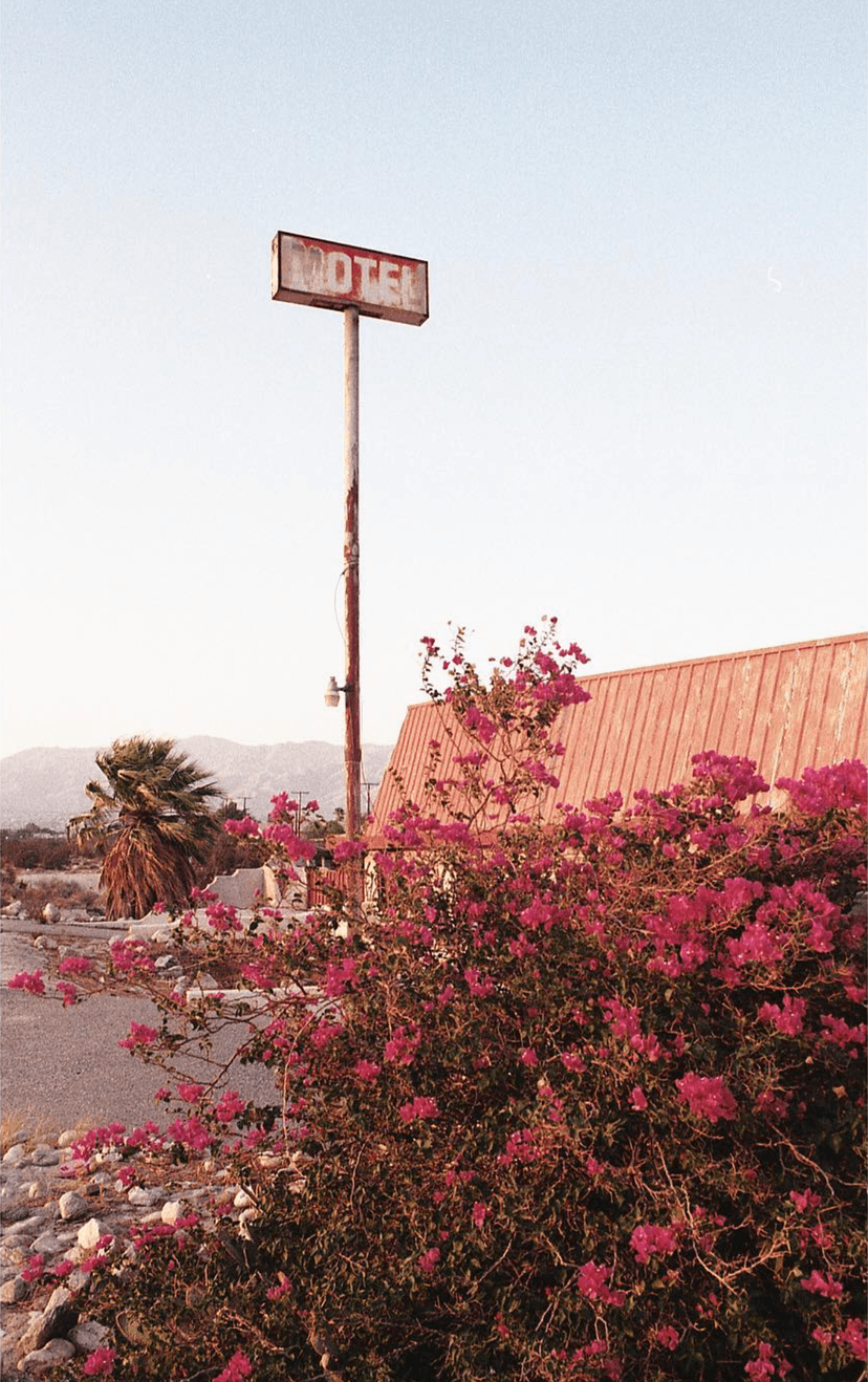 Image of the specified product