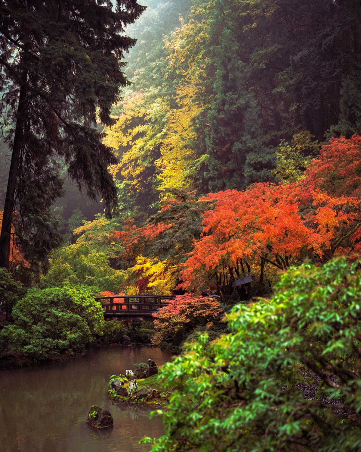 Picture of the author