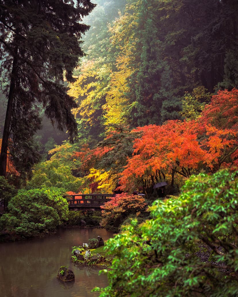 Image of the specified product