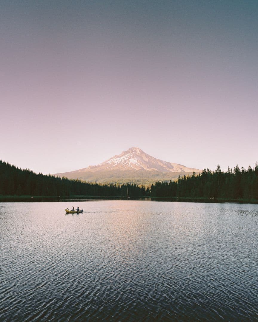 Picture of the author