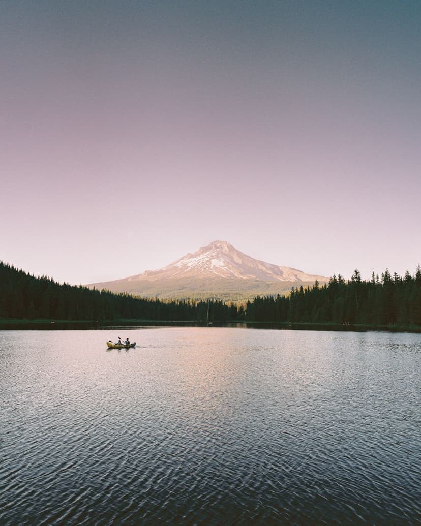 Image of the specified product