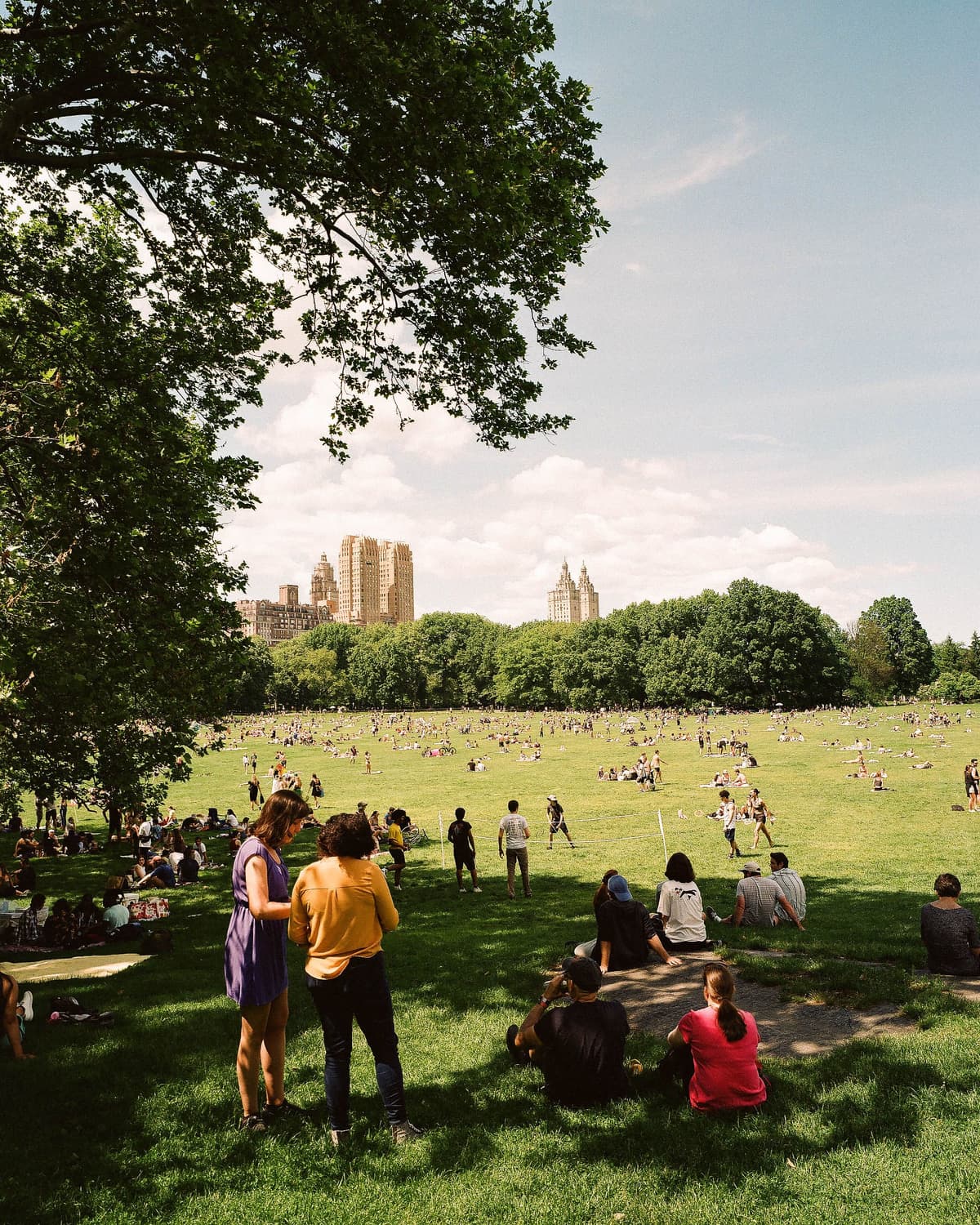 Picture of the author