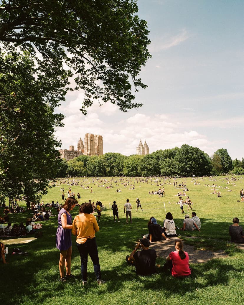 Image of the specified product