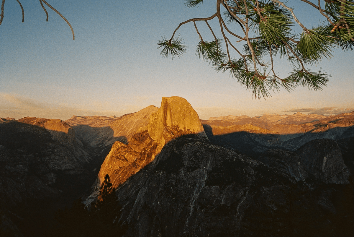 Picture of the author