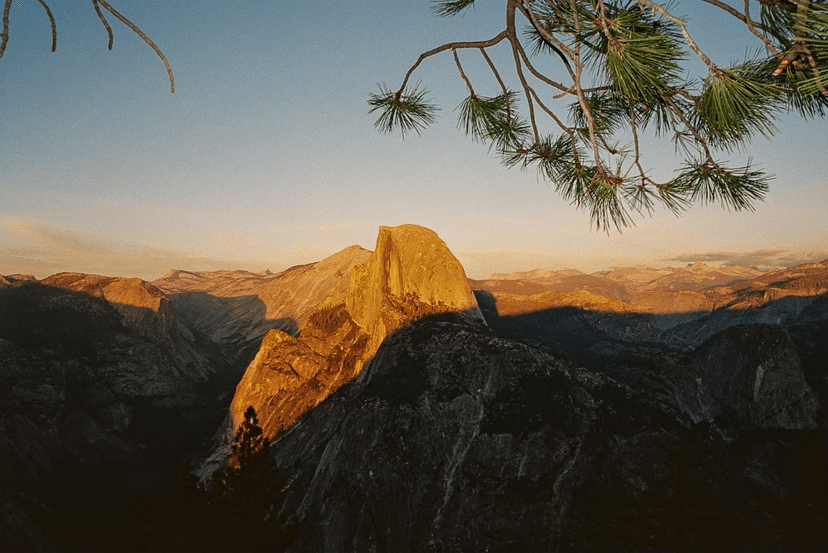 Image of the specified product