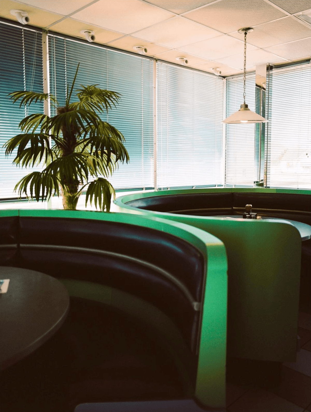 Picture of the author