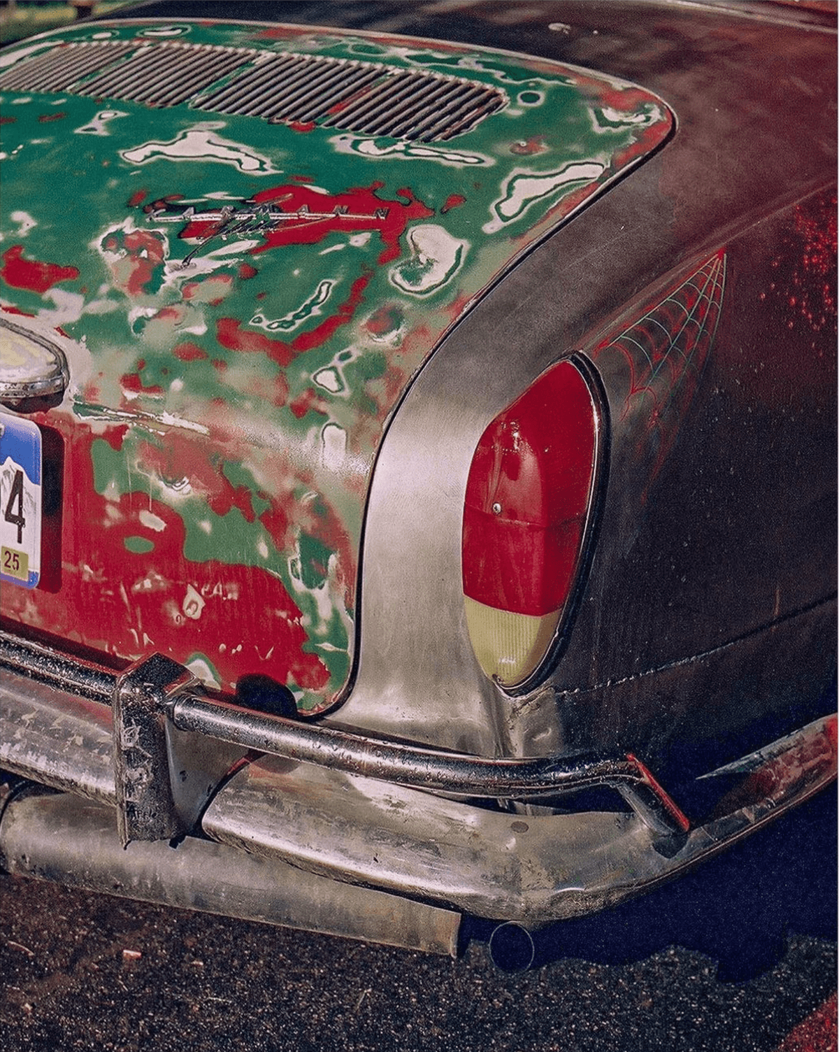 Picture of the author