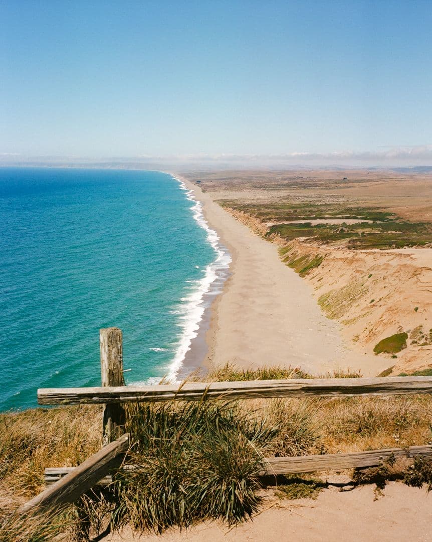 Picture of the author