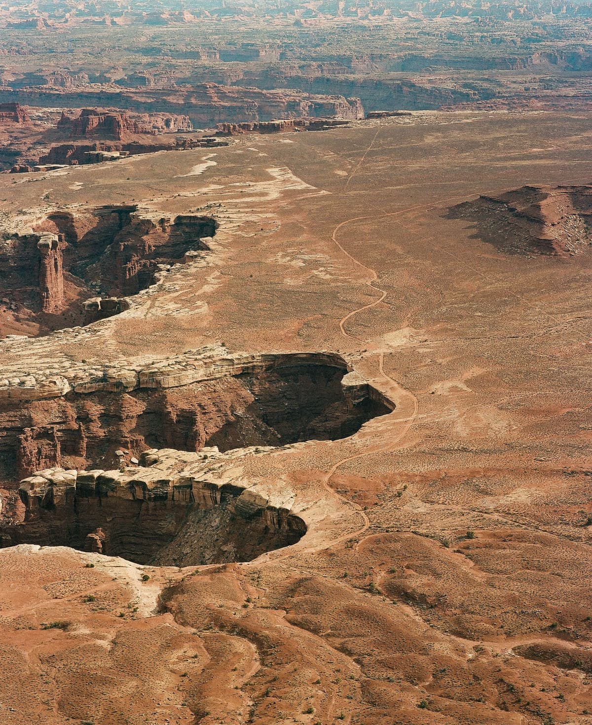 Picture of the author