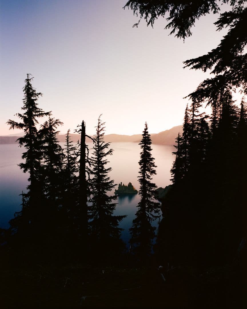 Picture of the author