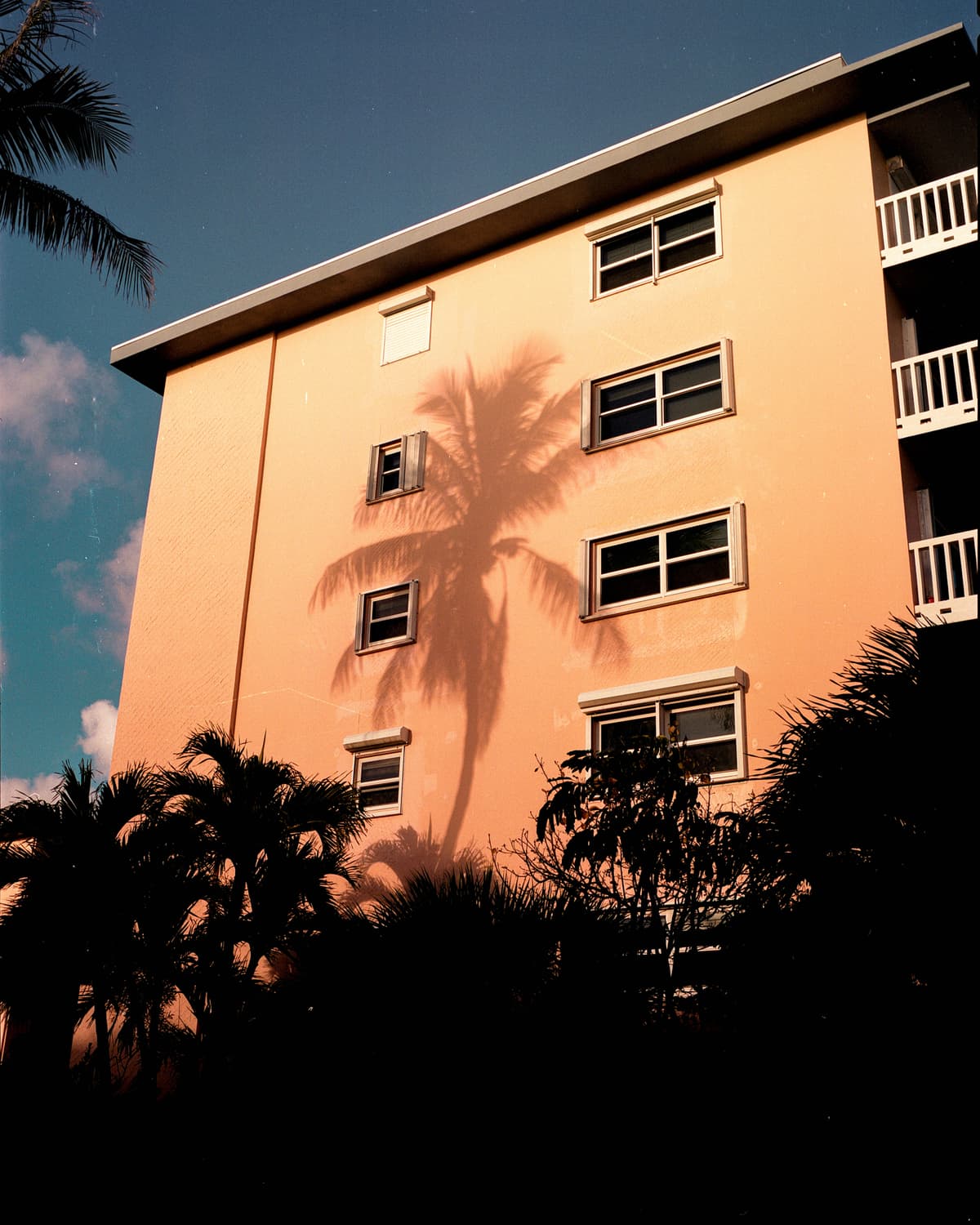 Picture of the author