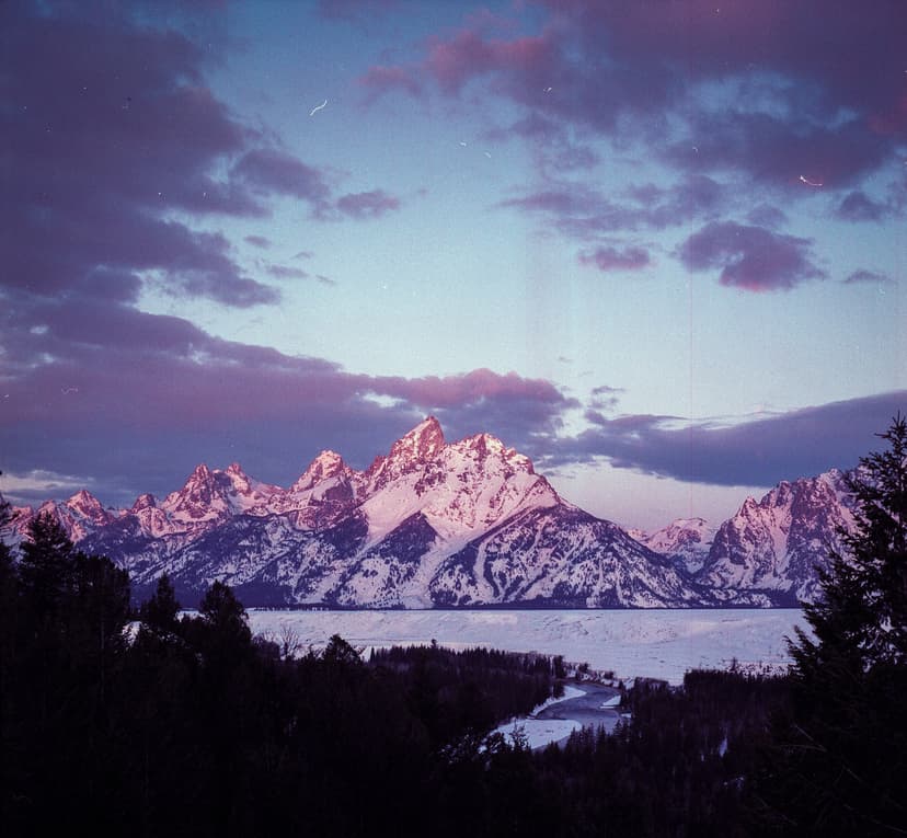 Image of the specified product