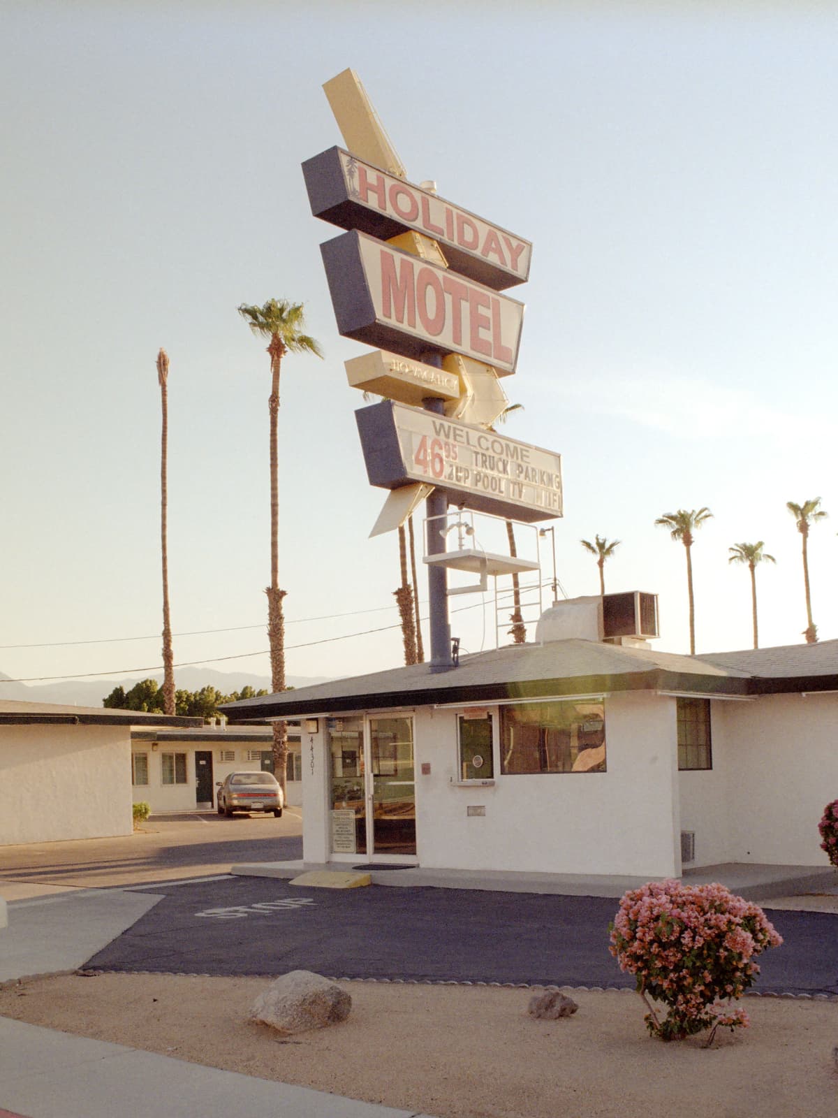 Picture of the author