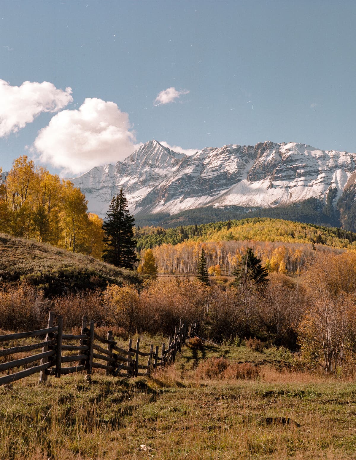 Picture of the author