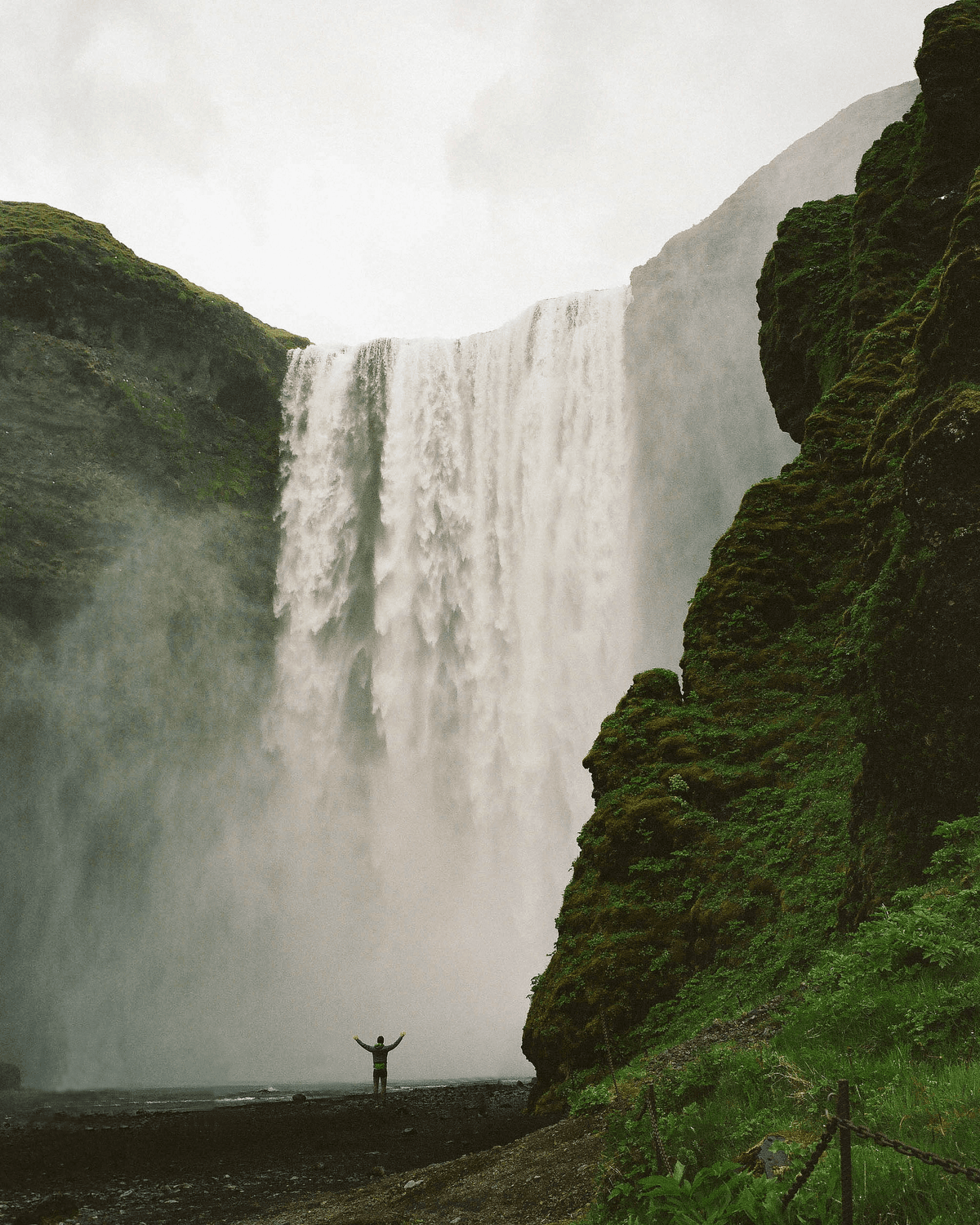 Picture of the author