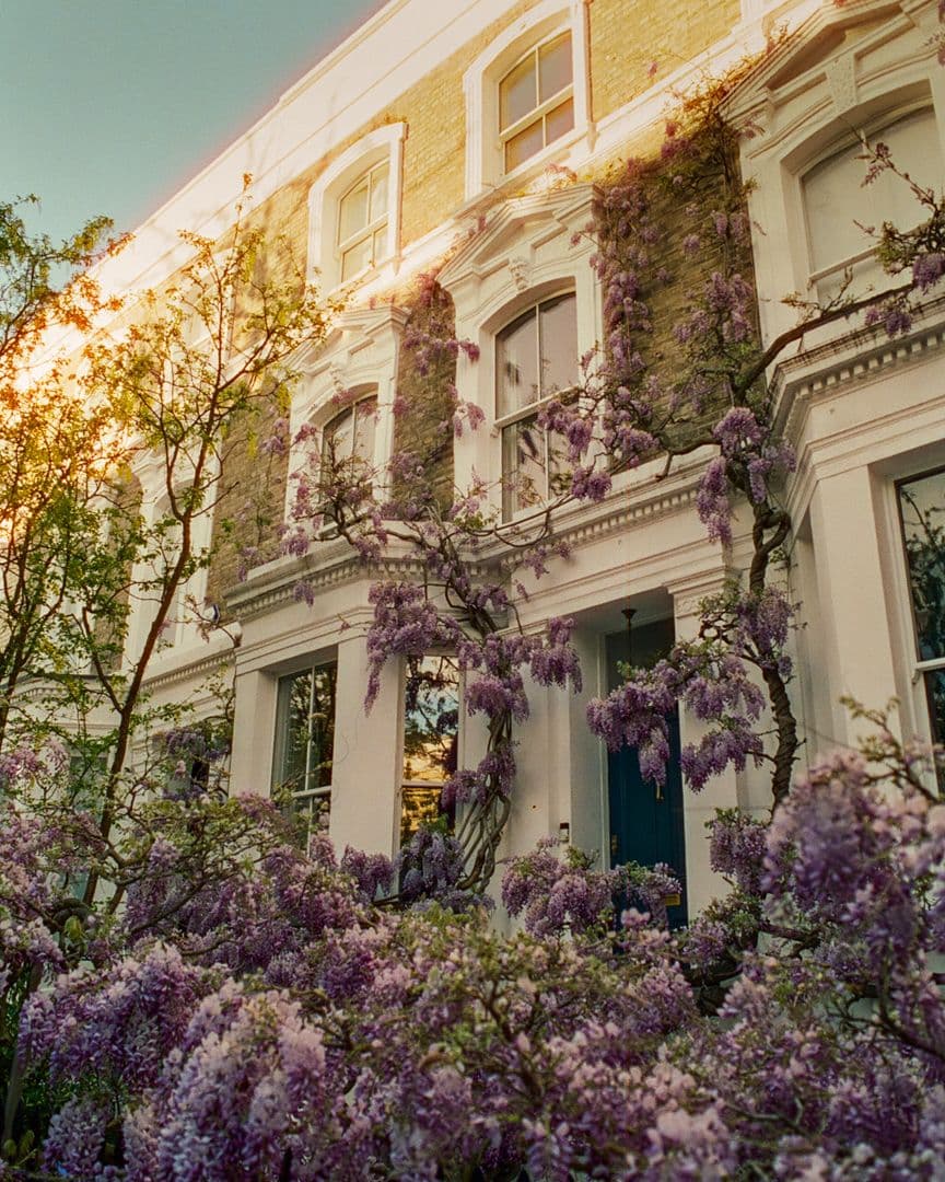 Picture of the author