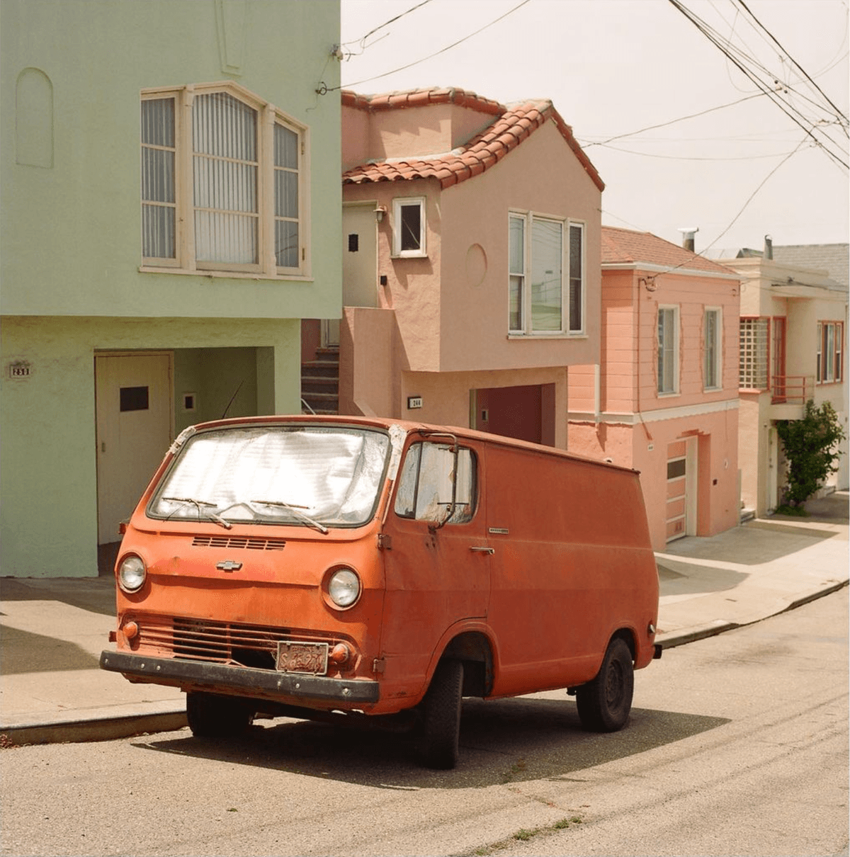 Picture of the author